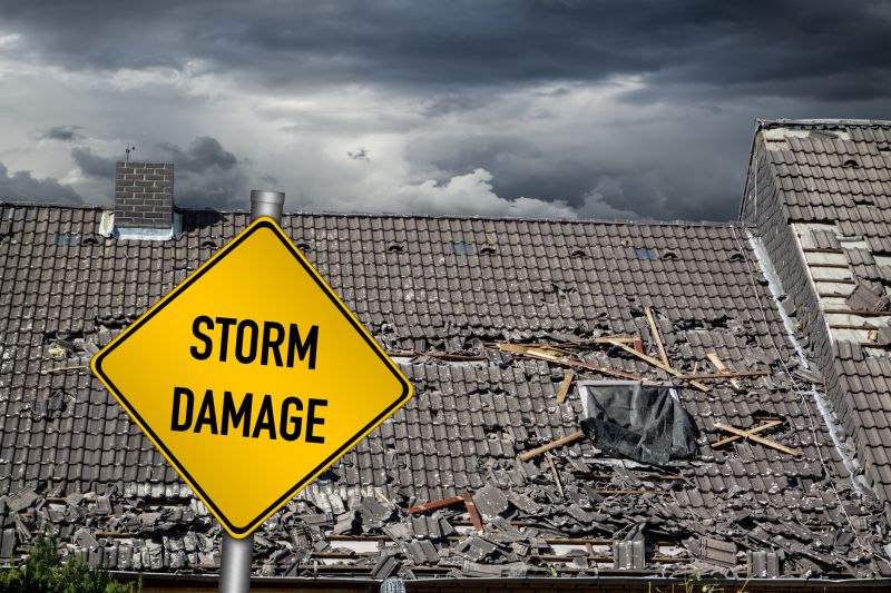Storm Damage Professionals
